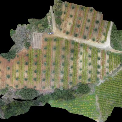 48 aerial images mosaic